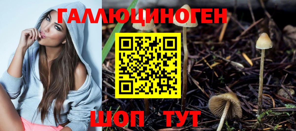 Галлюциногенные грибы Psilocybe  Вход с VPN  Мытищи 